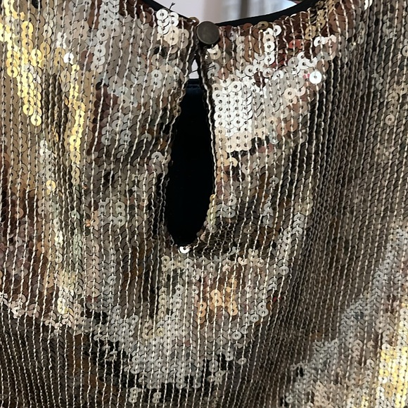 Vici Metallic Fringe Short Sleeve Top in Silver - Picture 6 of 7